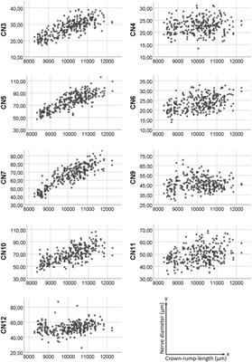 Detailed characterizations of cranial nerve anatomy in E14.5 mouse embryos/fetuses and their use as reference for diagnosing subtle, but potentially lethal malformations in mutants